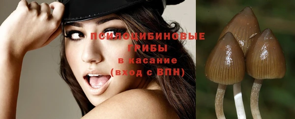 не бодяженный Алзамай